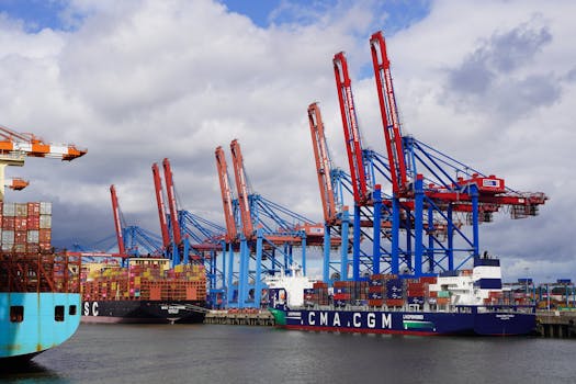 Container ships and cranes at the bustling Hamburg port, showcasing global trade activity.