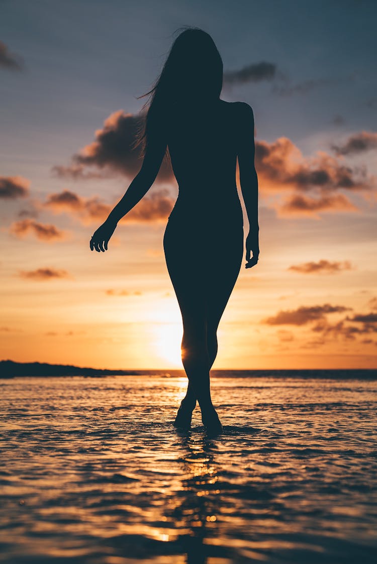 Silhouette Of Person Standing On Beach During Sunset