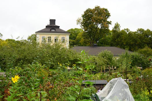 A picturesque farmhouse in Stockholm surrounded by vibrant greenery and garden.