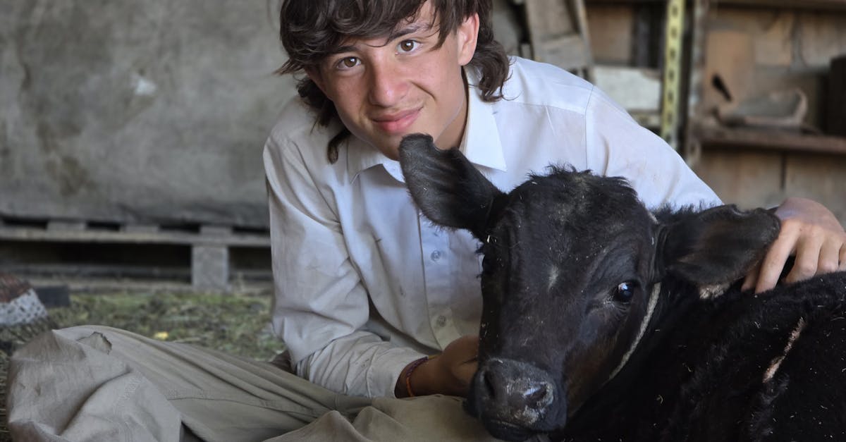 財經:西部水泥發行4億美元優先票據 強化資本結構