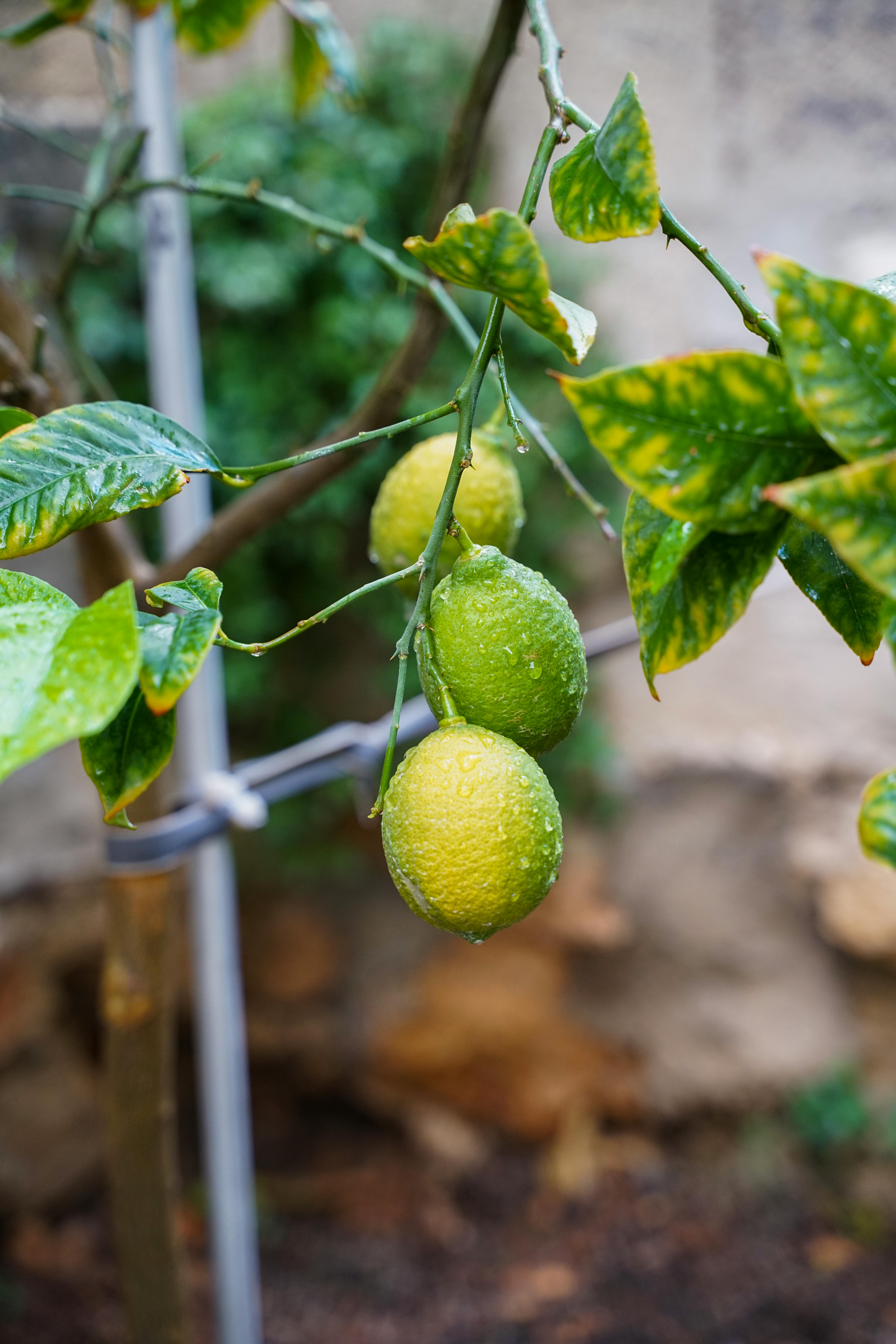 Bakırköy'de Daire Alırken Hangi Metrekareler Yatırımcılar İçin Öne Çıkıyor?