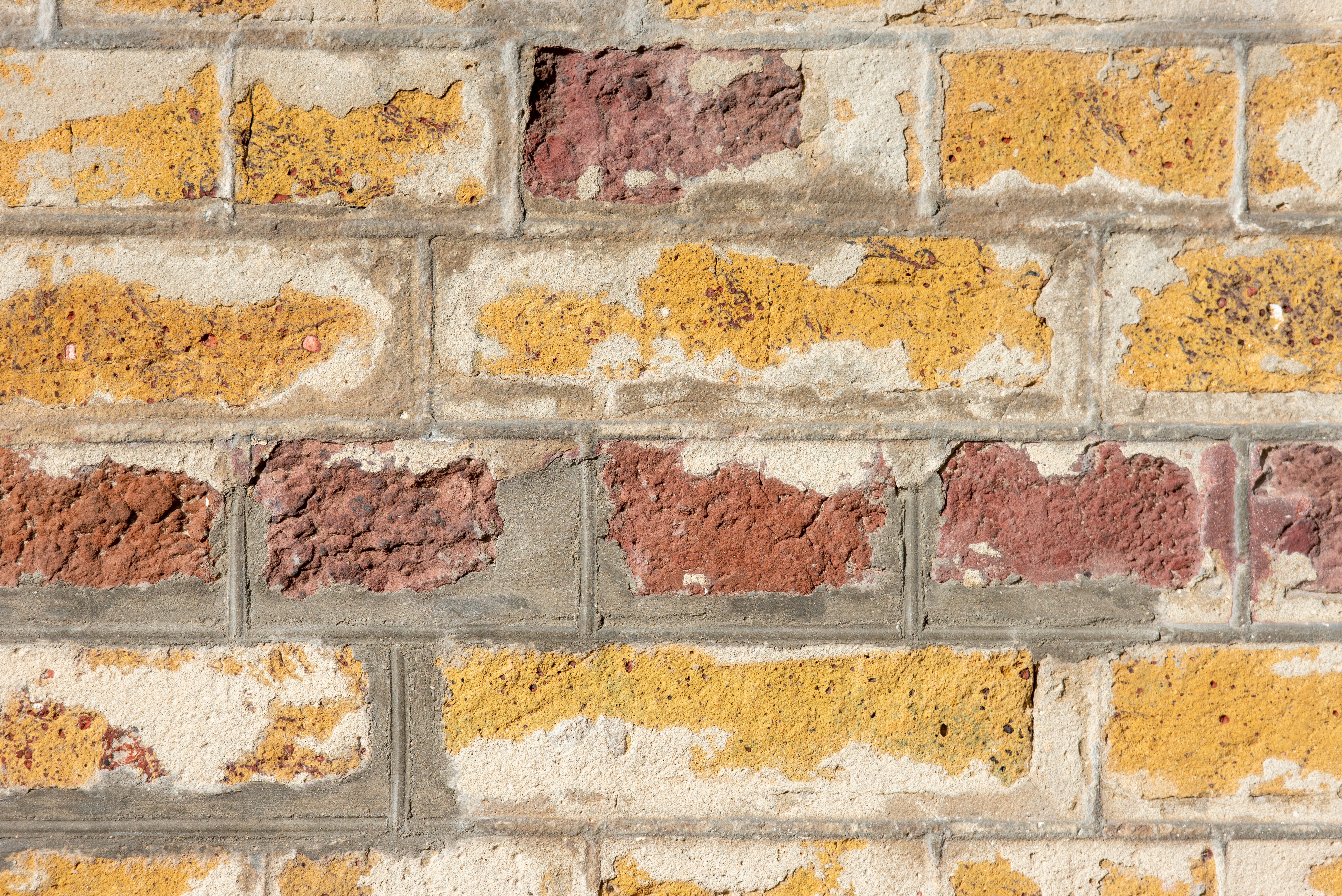 Plastering and Skimming in Elmstead — a freshly painted, spotless finish