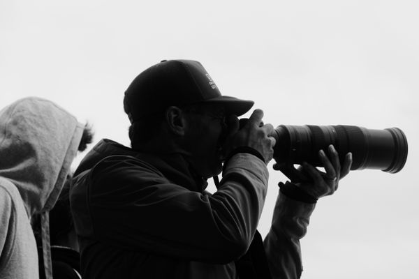 Photographe en casquette visant au téléobjectif en noir et blanc