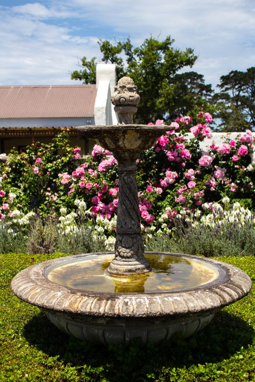 Free Charming garden fountain surrounded by vibrant pink and white roses on a sunny day. Stock Photo