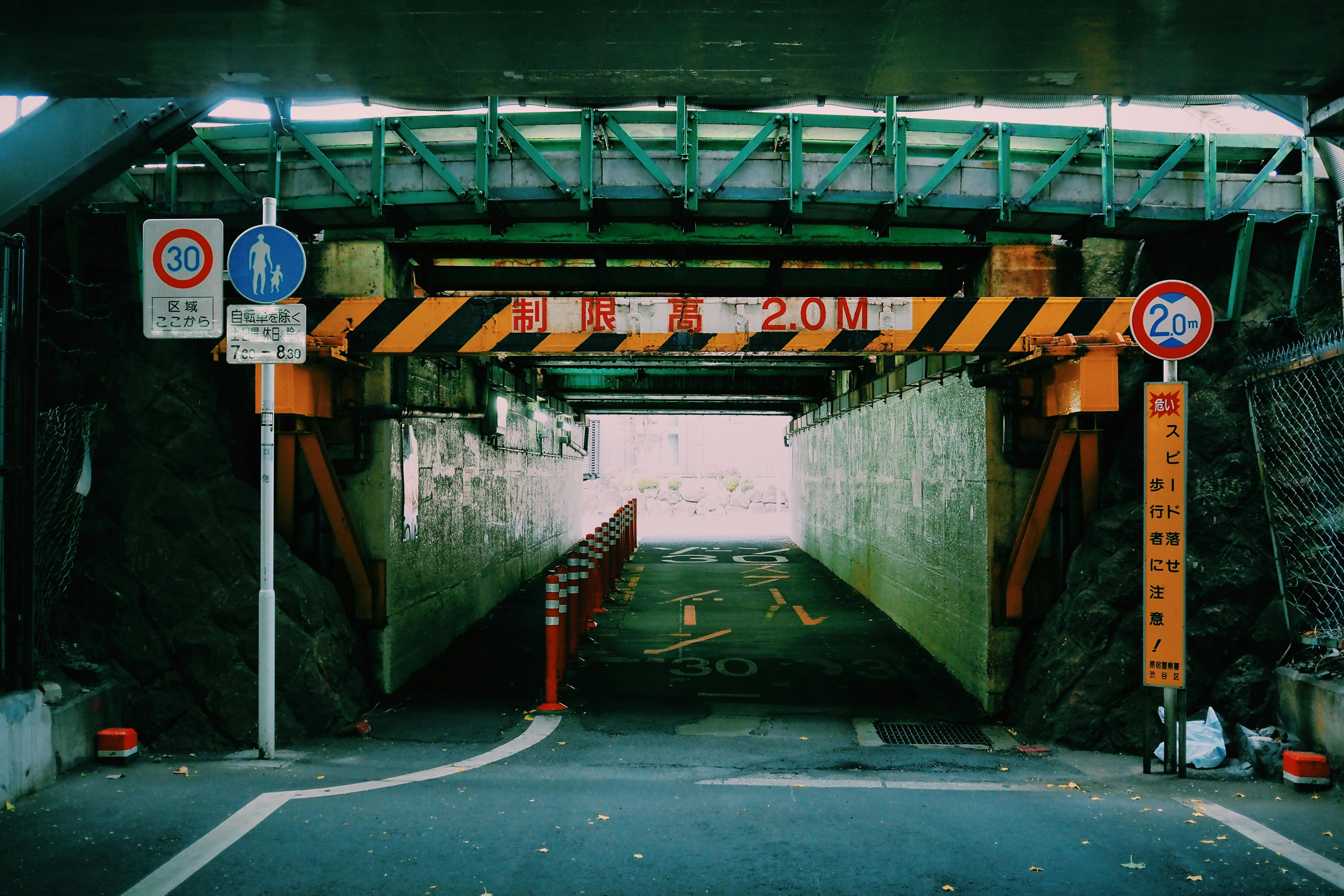 pexels-photo-34931600.jpeg?auto=compress&cs=tinysrgb&h=650&w=940