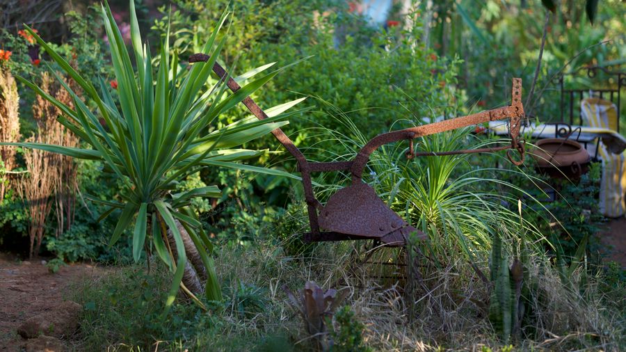 Gardening With Kids: Why It's Worth the Mess (and How to Start)