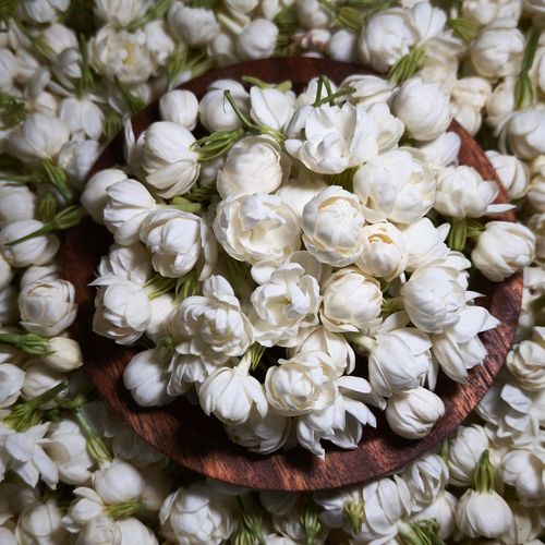 Free A beautiful arrangement of white jasmine flowers displayed in a rustic wooden bowl. Stock Photo