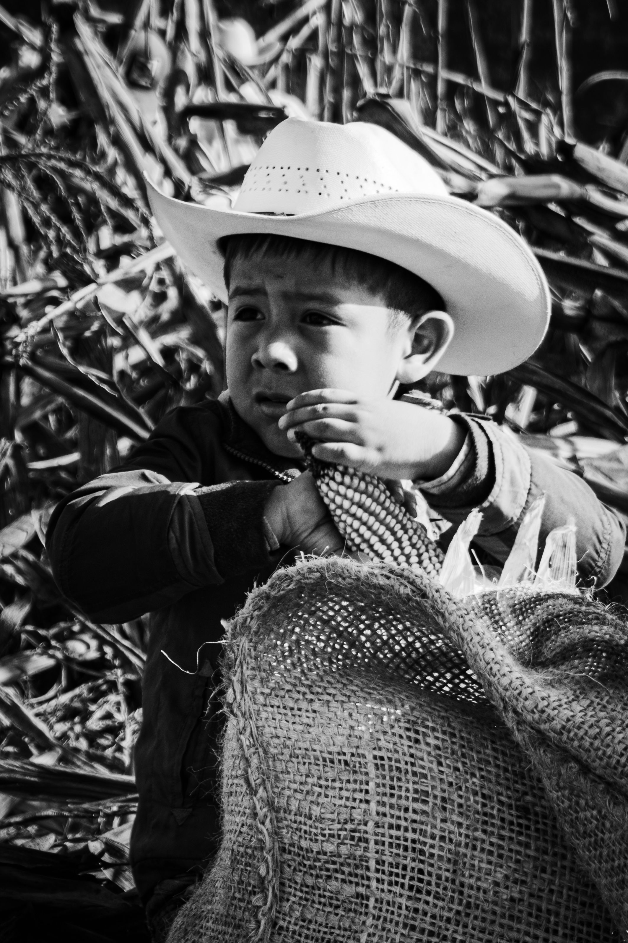 Lecciones clave de las tragedias textiles para la moda sostenible y responsable