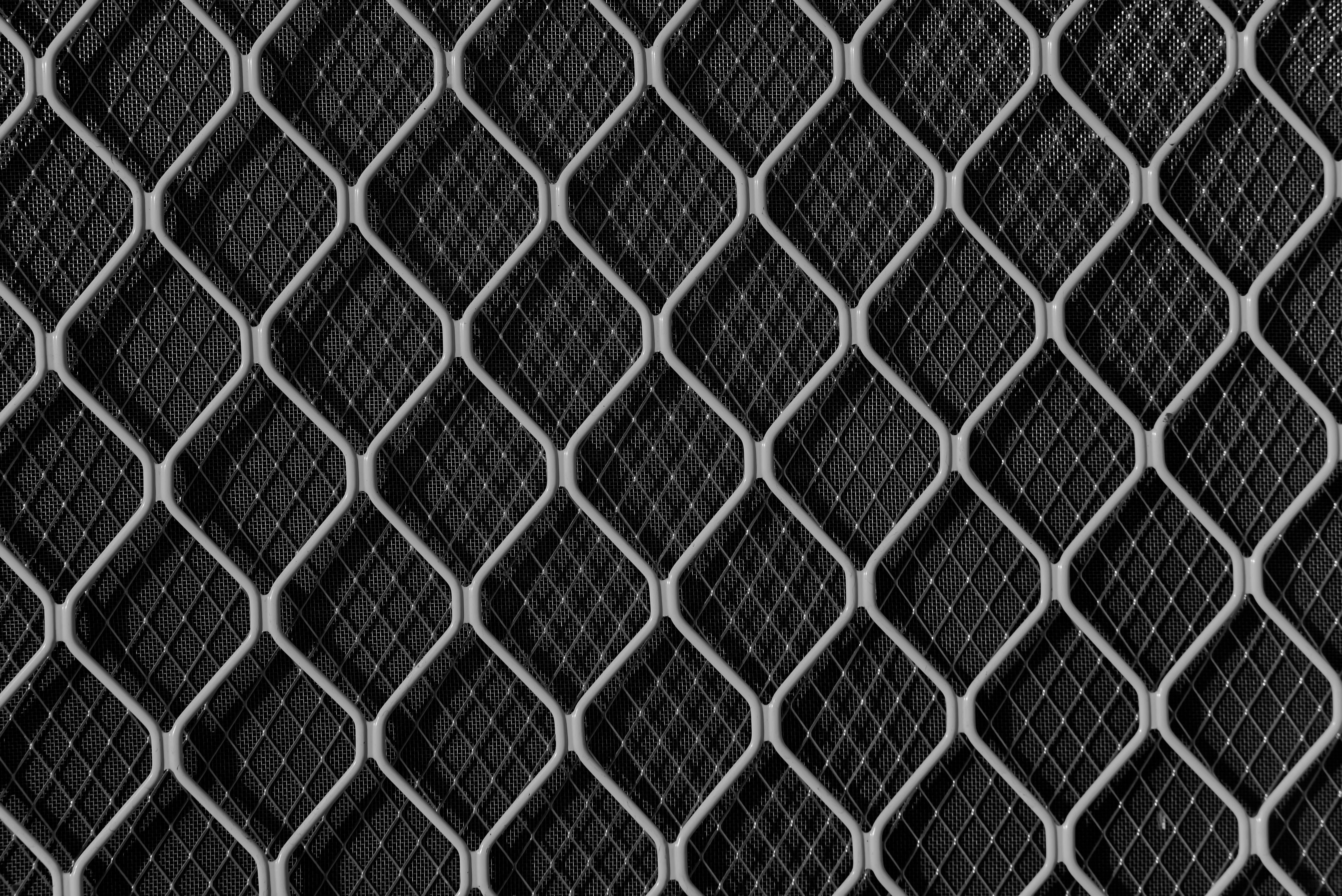 放寬陸配參政權 杜奕瑾批中共滲透政治核心