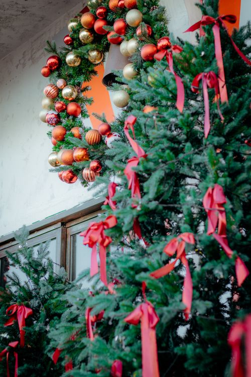 Free Colorful Christmas wreath and tree adorned with ornaments and ribbons. Stock Photo