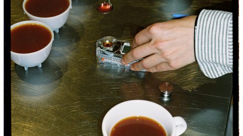 Close-up of a coffee tasting session with a focus on spoons and cups.