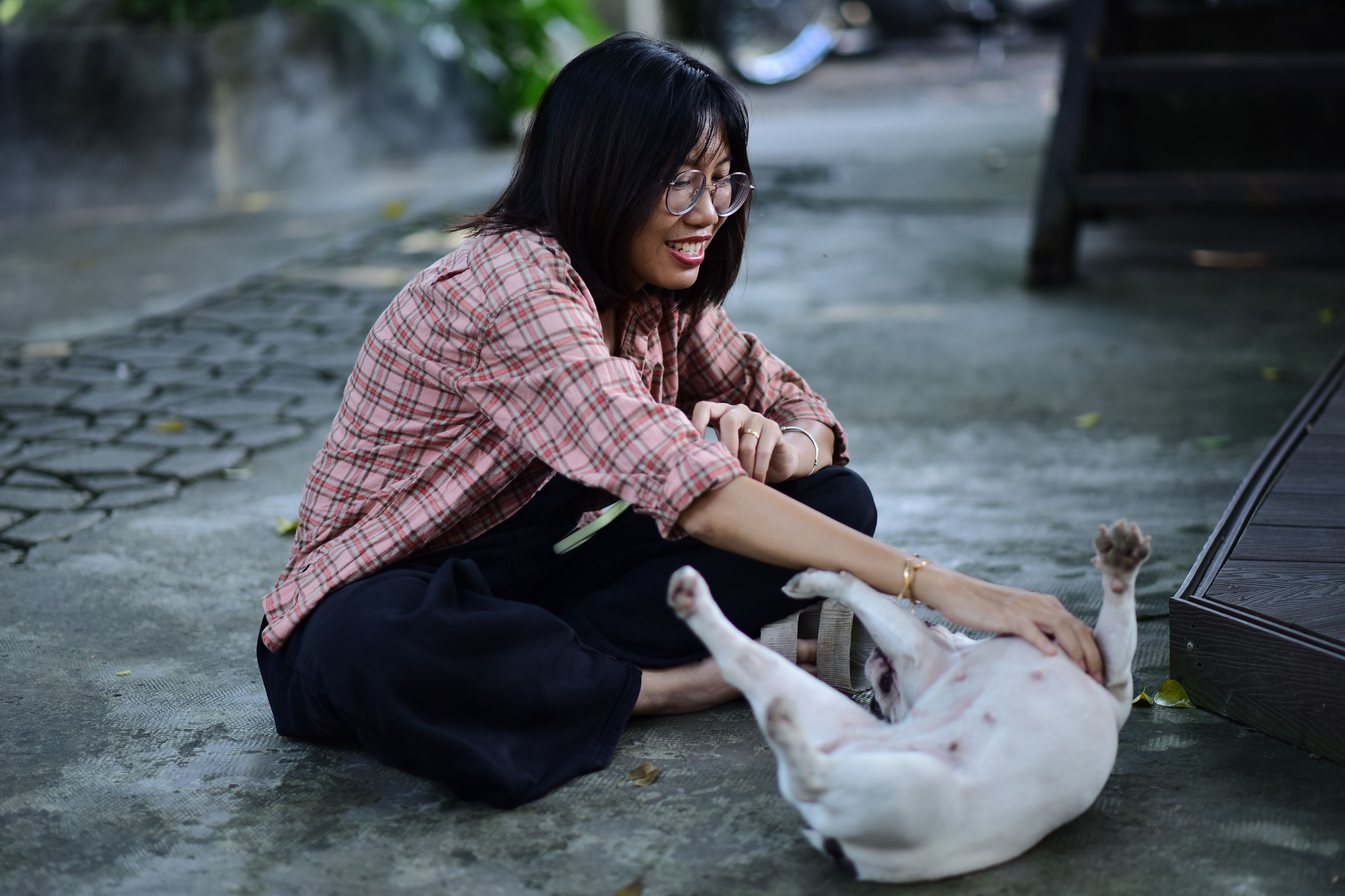 pet lifestyle store — Photo by Sóc Năng Động on Pexels