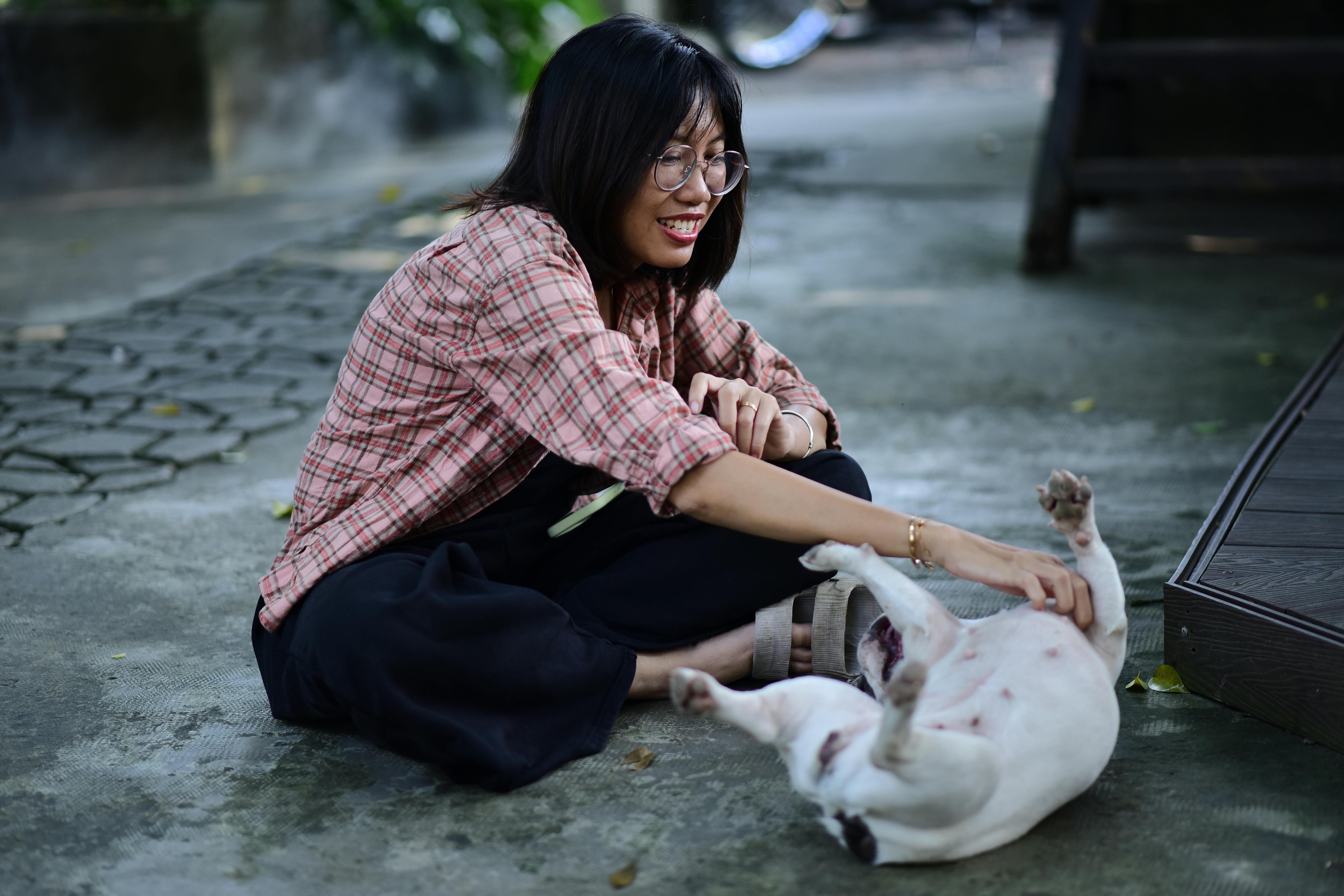 pet insurance pet health coverage — Photo by Sóc Năng Động on Pexels