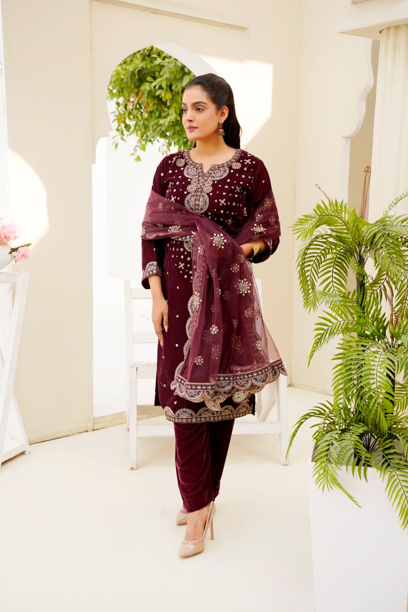 Woman in an elegant traditional salwar suit