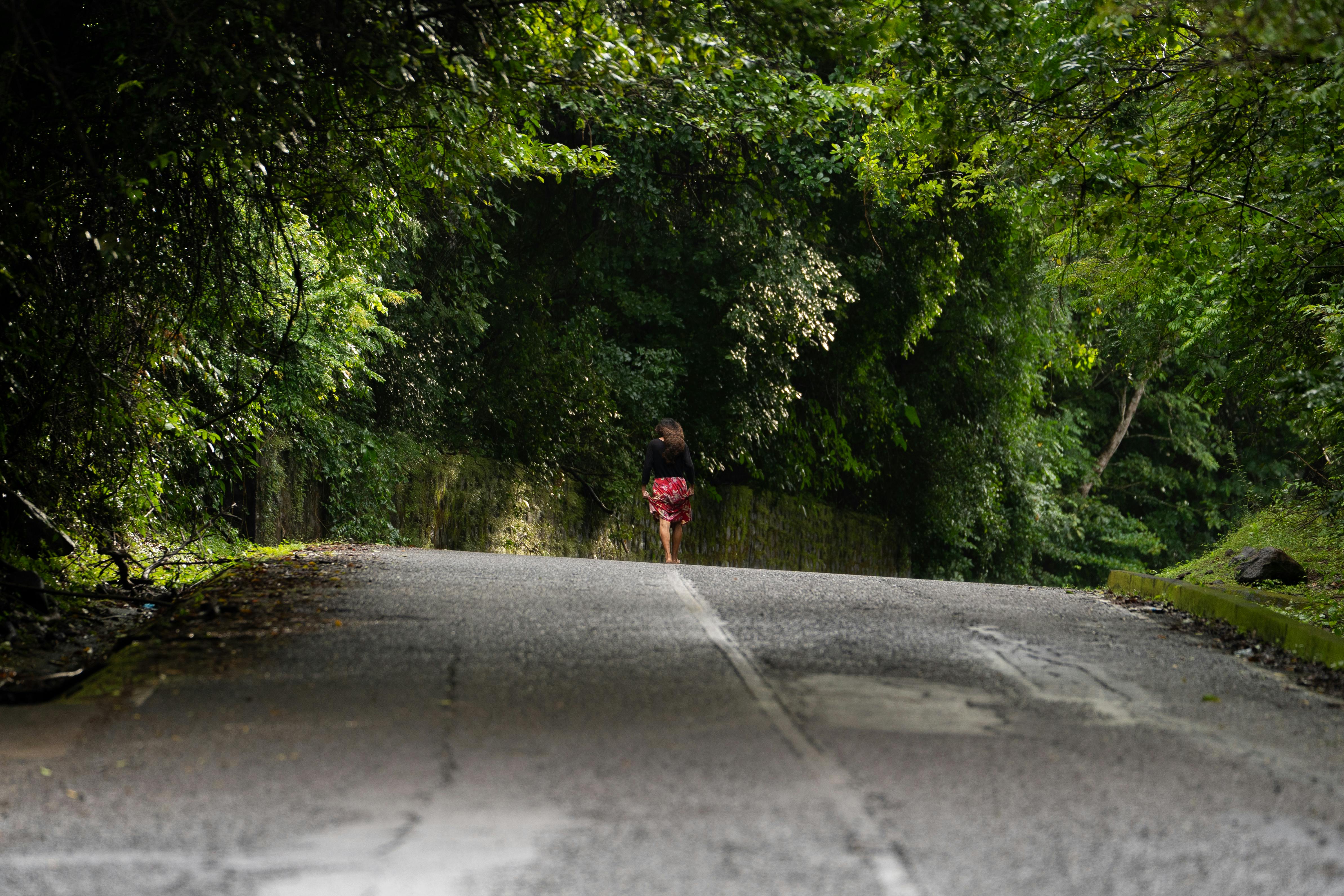 Free stock photo of 4 k wallpaper, 4k video nature, abstract