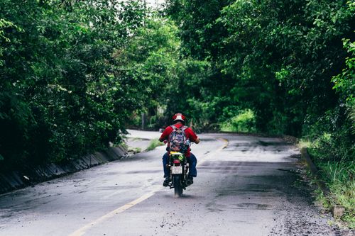 Free A lone motorcyclist travels through a scenic forested road capturing a sense of adventure and freedom. Stock Photo