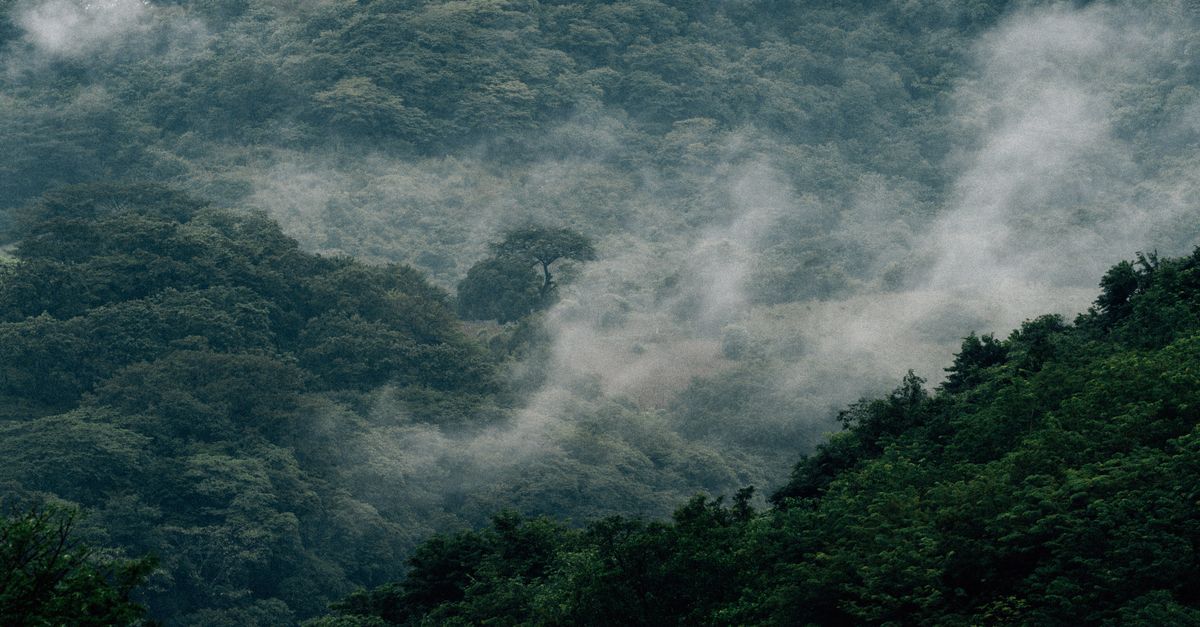 有关4k 视频性质, 4k壁纸, nnature, pexels 圖庫, 丘陵, 冷靜, 十一月, 和平的, 增長, 夏天, 多山, 多雲的 ...