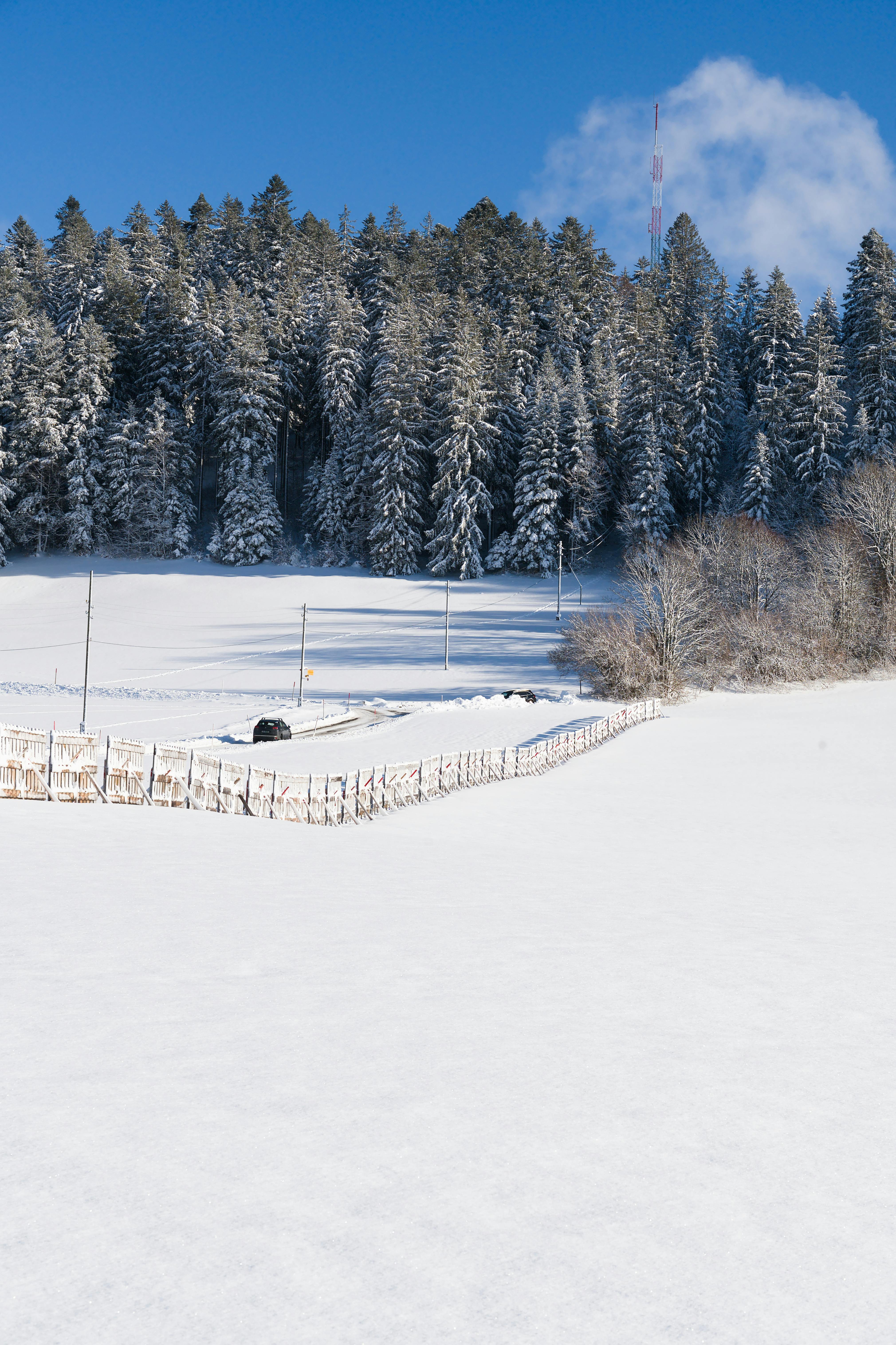 Bakırköy'de Kiralık Daire Arayanlar İçin Emlakçı Seçiminde Bilmeniz Gereken 6 Altın Kural