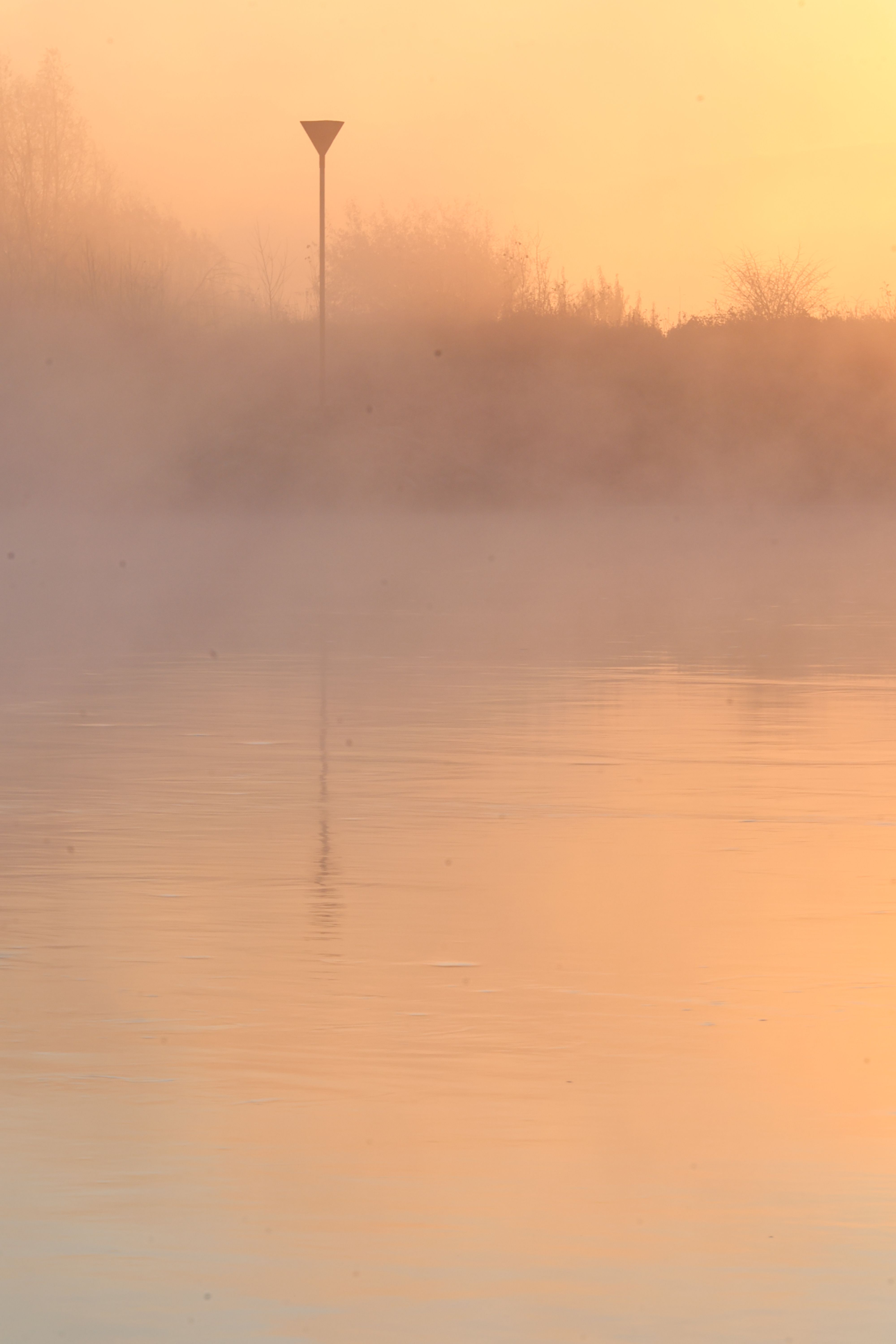 Serene Misty Lake at Sunrise with Tranquil Reflections · Free Stock Photo
