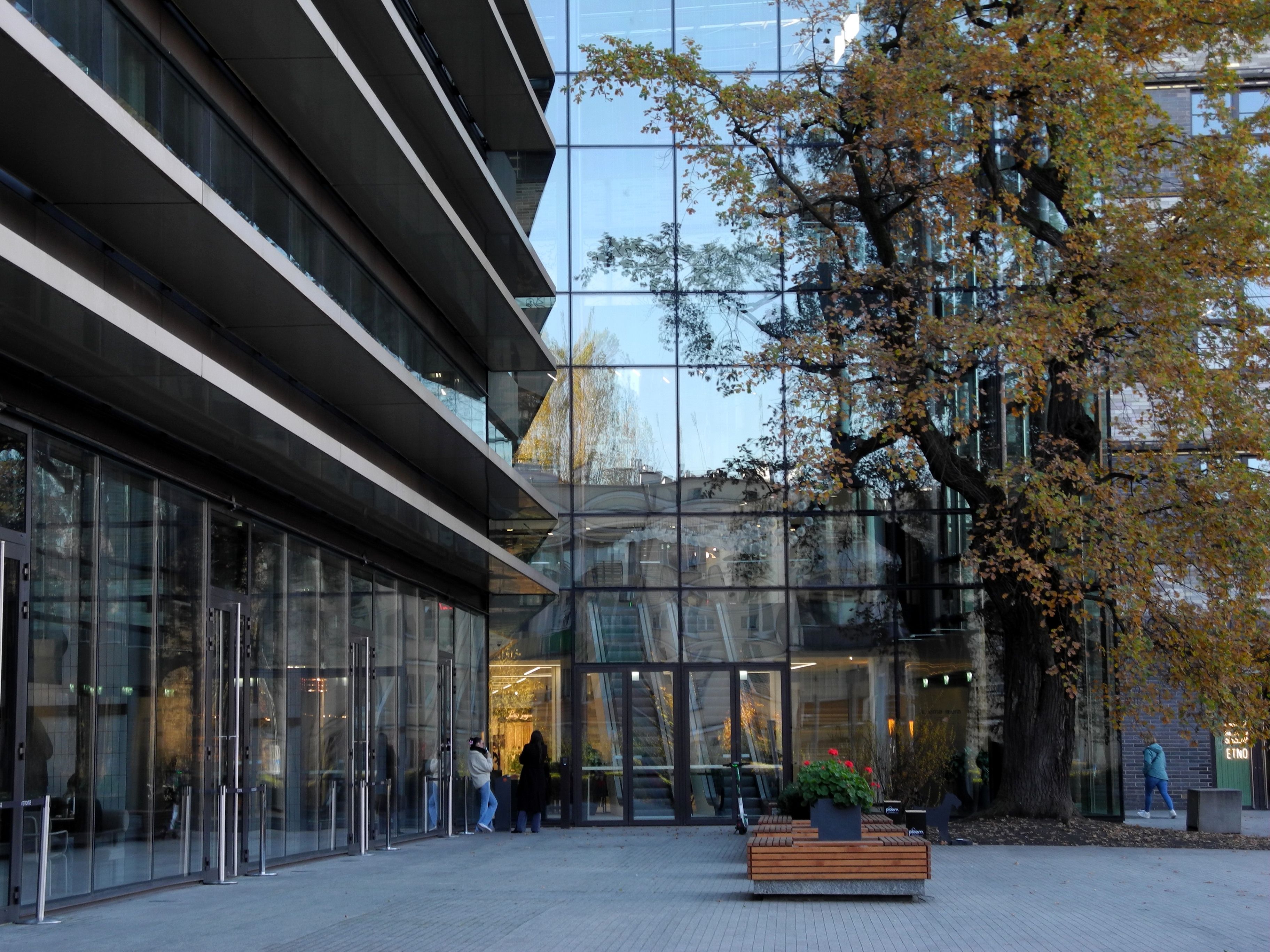 Modern Glass Building with Autumn Tree Reflection · Free Stock Photo