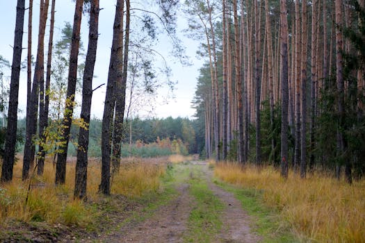 Photo by Roman Biernacki