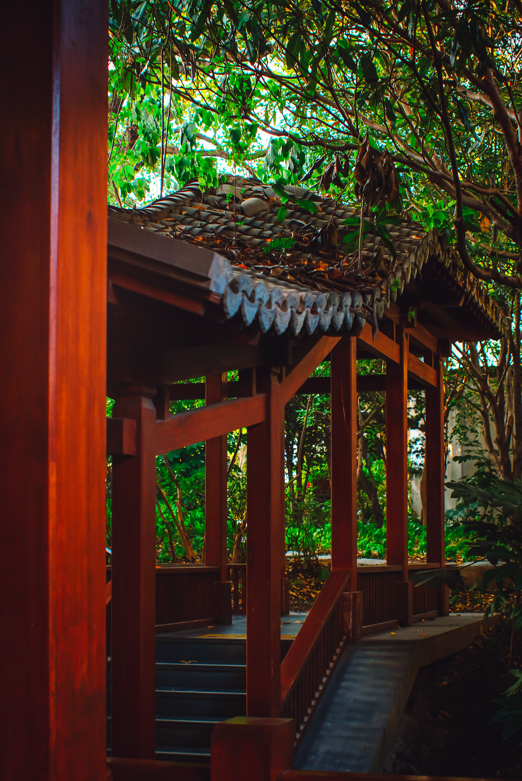 Traditional Asian Garden Pavilion Among Trees · Free Stock Photo