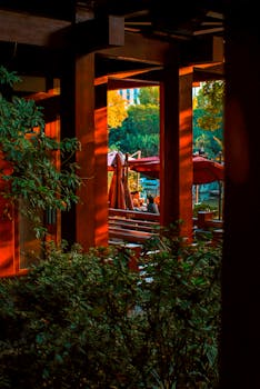 Warm sunset light illuminates a cozy outdoor cafe, framed by wooden beams and lush greenery.