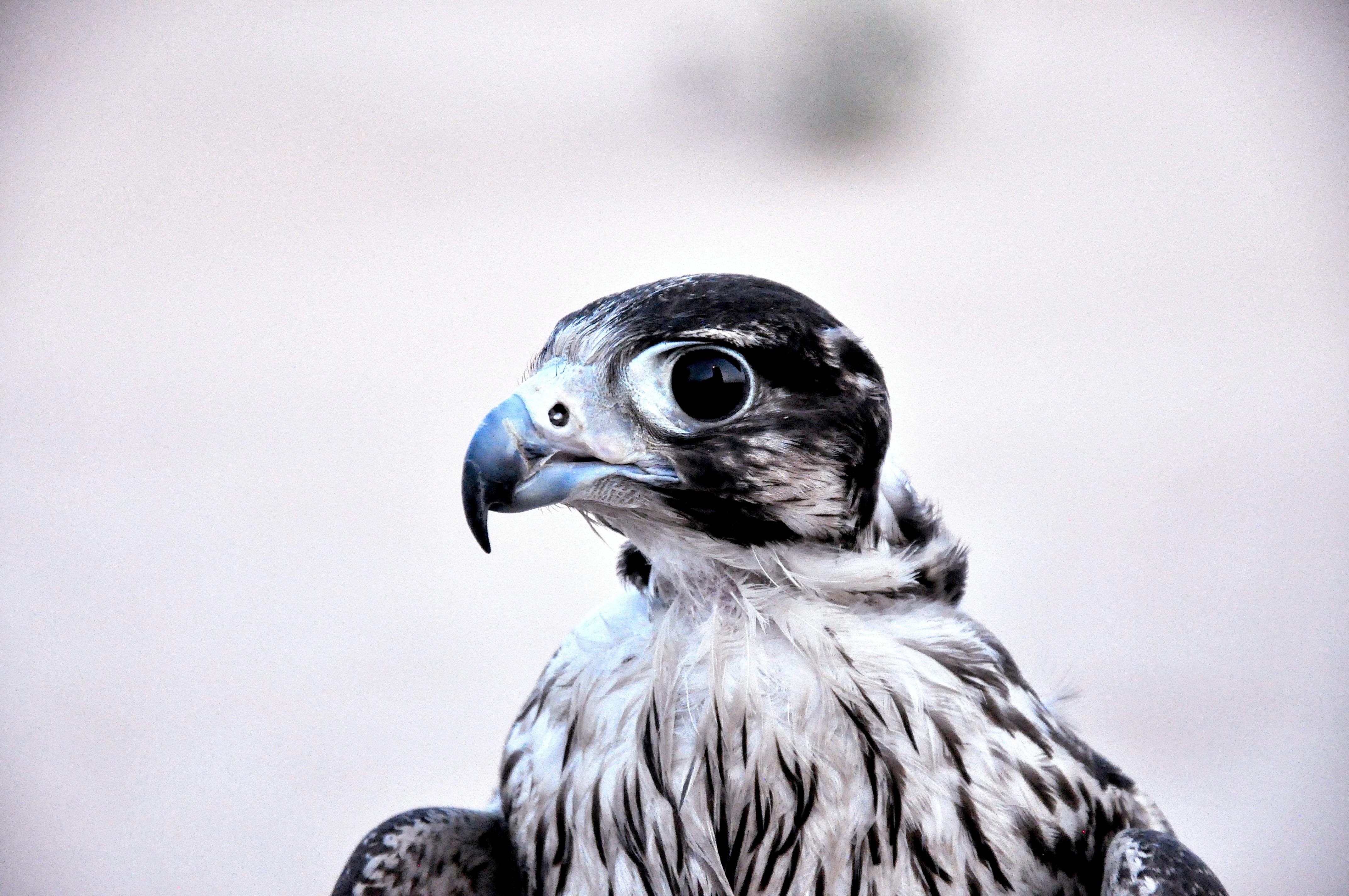 財經：聯準會降息預期升溫推動歐股收高