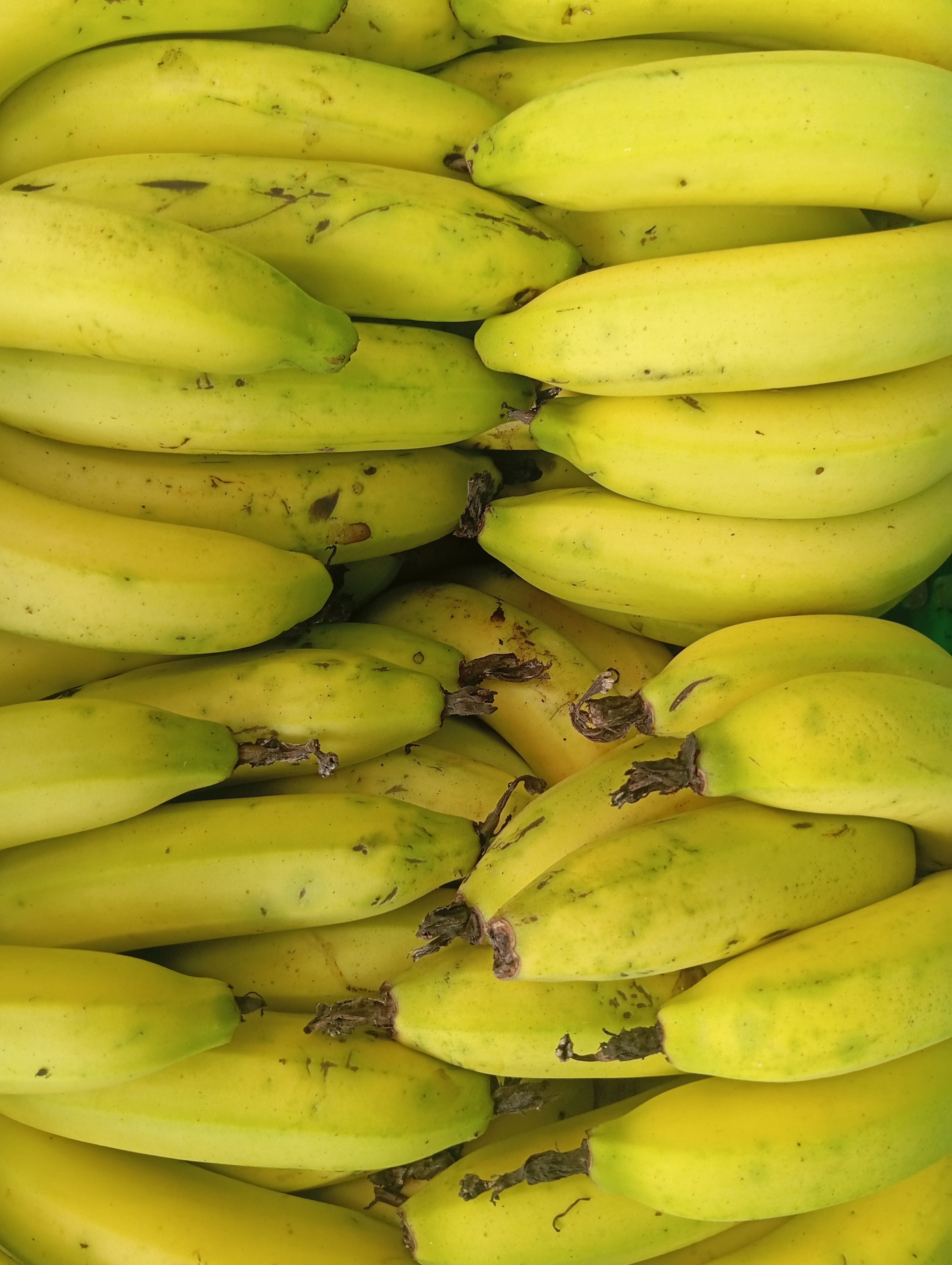 Banana Prata (kg)