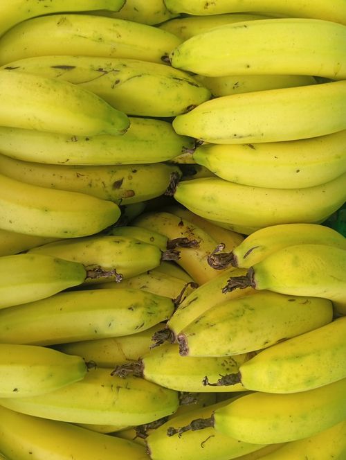 Free A vibrant pile of fresh, organic bananas displayed at a local market. Stock Photo