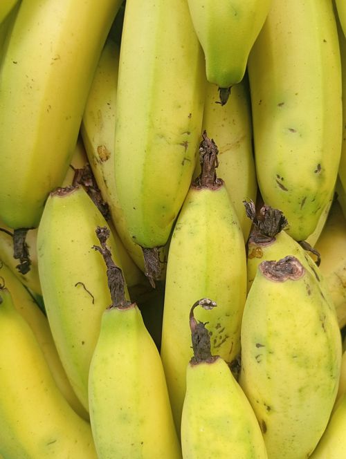 Free A vibrant stack of ripe yellow bananas showcasing their bright color and texture. Stock Photo