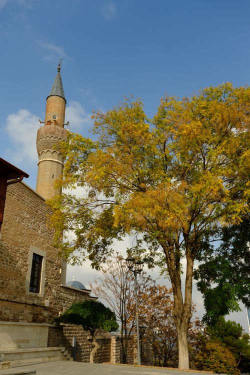 Free Beautiful view of a historic mosque minaret surrounded by vibrant autumn leaves under a blue sky. Stock Photo
