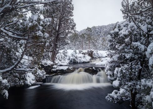 Serene winter landscape featuring a snowy waterfall in Cradle Mountain, Tasmania, Australia.
