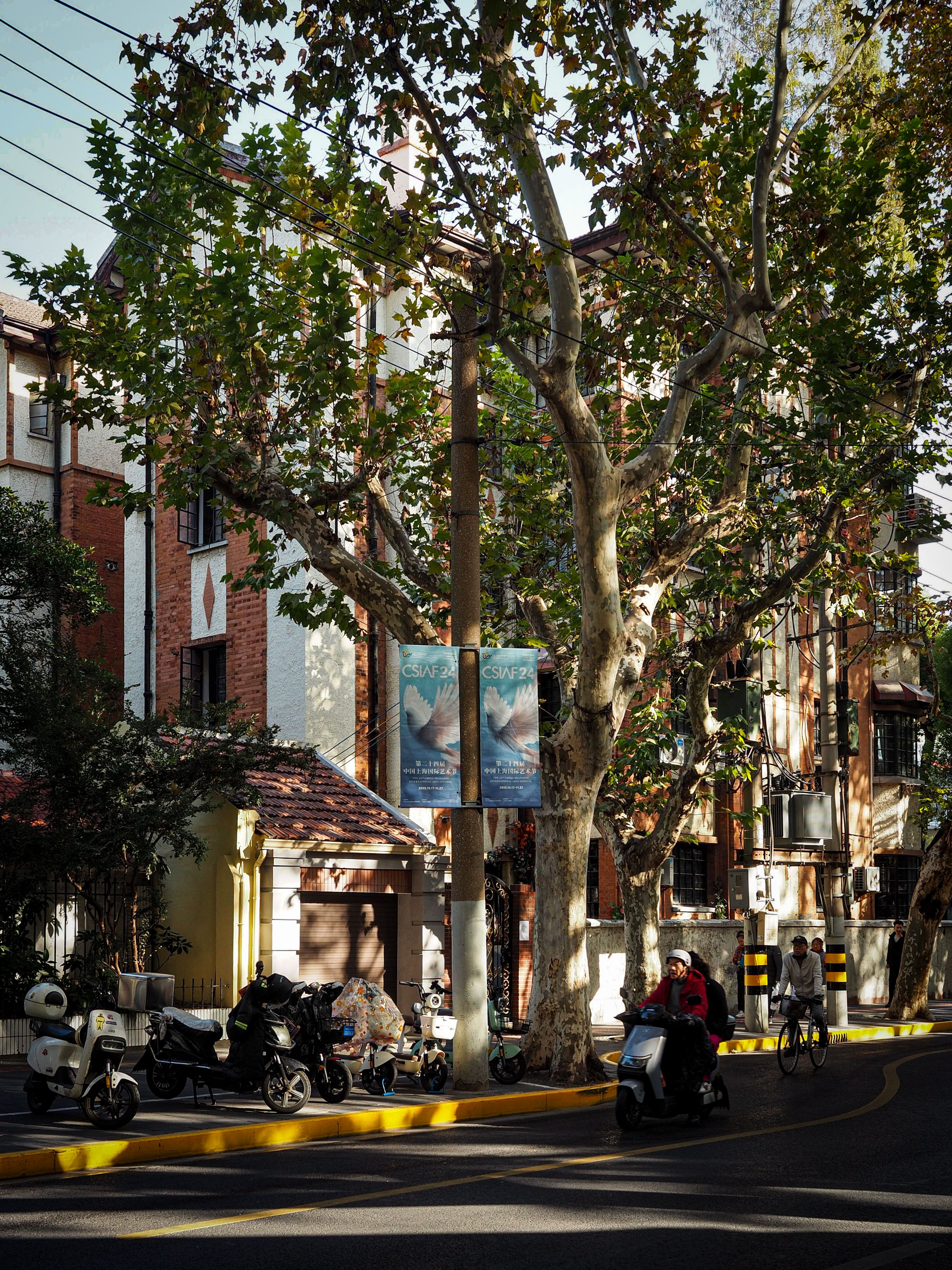 Bustling Urban Street with Bicycles and Trees · Free Stock Photo