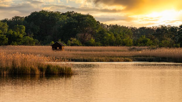 A serene scene featuring a lakeside cabin surrounded by reeds and forest at sunset.