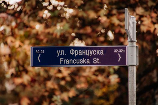 Street sign for Francuska St. in autumn, surrounded by moody leaves in Belgrade, Serbia.