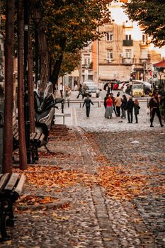 Cobblestone street in autumn with fallen leaves and people walking, capturing Belgrade's moody charm.