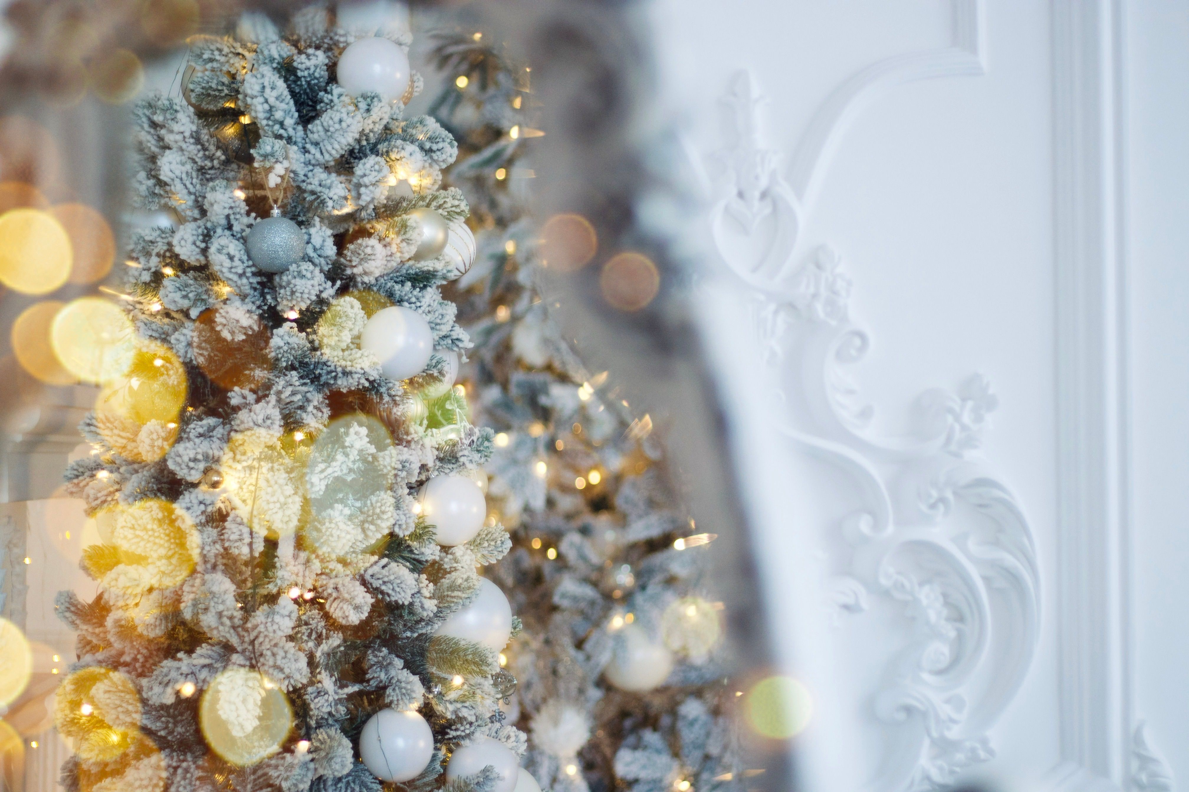 Christmas arrives at the White House. See photos, video of decor. — Photo by Olga Shiryaeva on Pexels