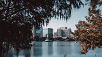 Orlando