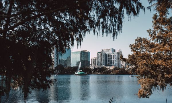 Captivating view of downtown Orlando skyline framed by trees at Lake Eola.