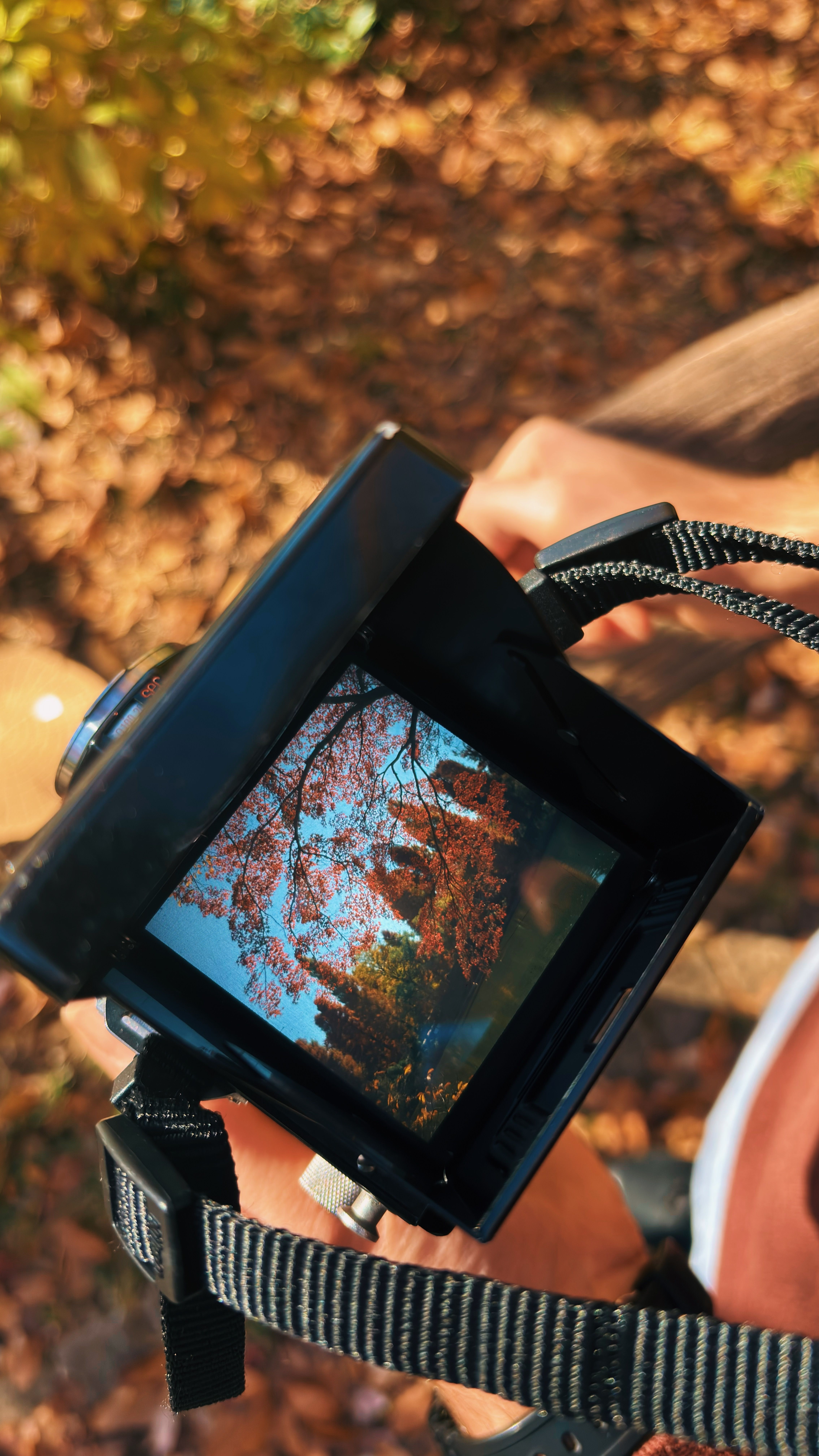 A mesmerizing view of autumn leaves through a vintage camera in Tokyo, Japan.