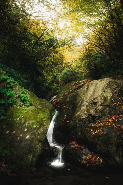 Free Tranquil waterfall flowing through vibrant fall foliage in a dense, peaceful forest setting. Stock Photo