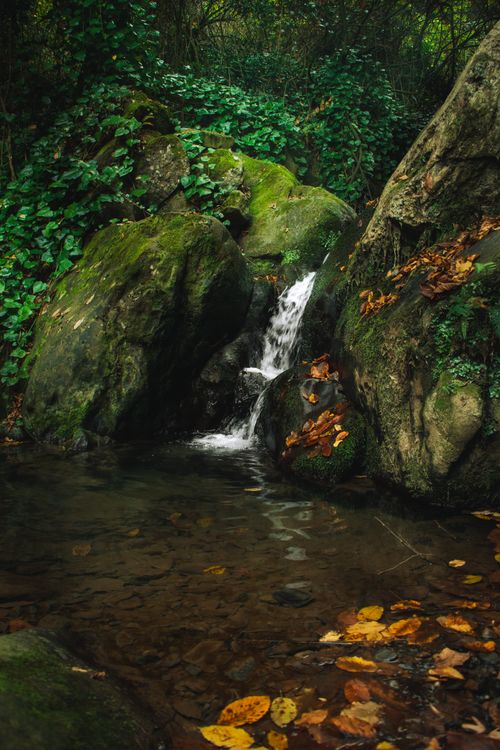 Free Peaceful waterfall in a lush forest setting with rocks and autumn leaves, ideal for nature themes. Stock Photo