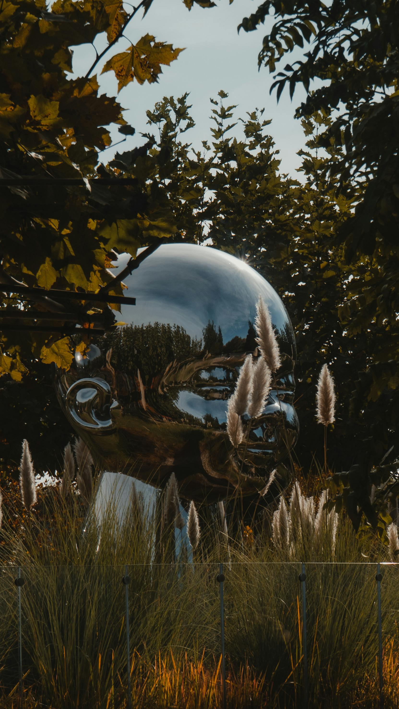 Gratuit Photos gratuites de @extérieur, abstrait, arbres Photos