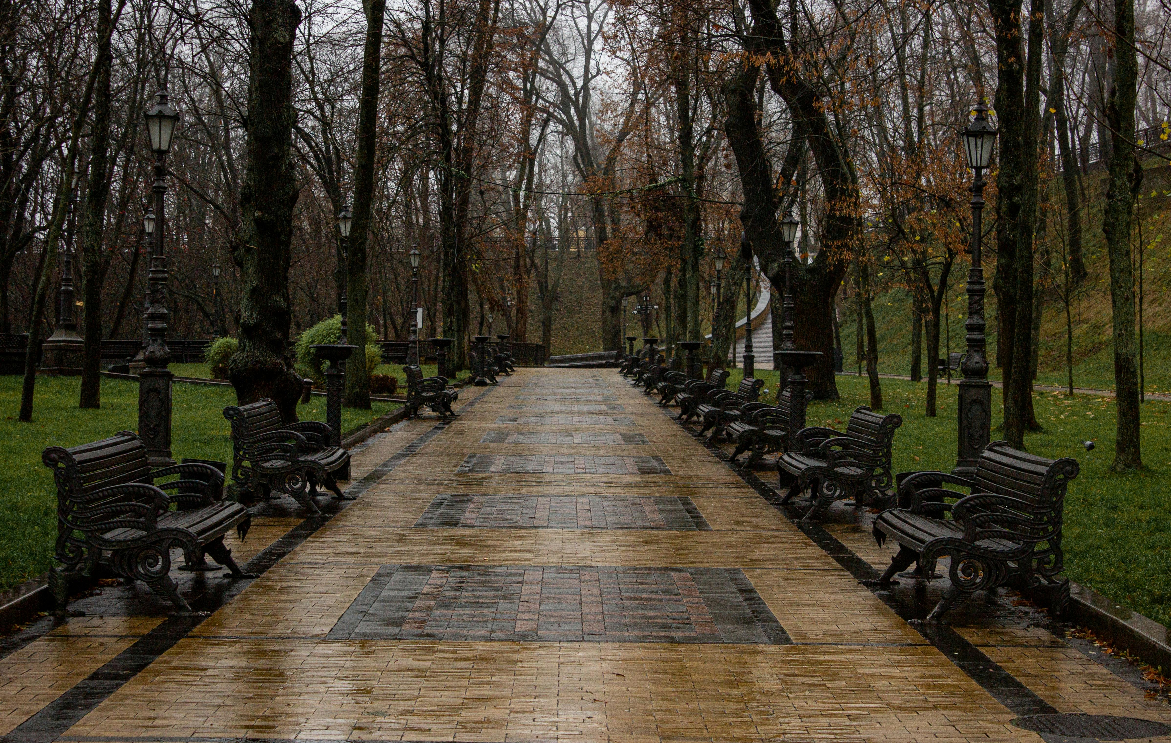 The ultimate outdoor workout: all you need is a park bench — Photo by Natalia Sevruk on Pexels