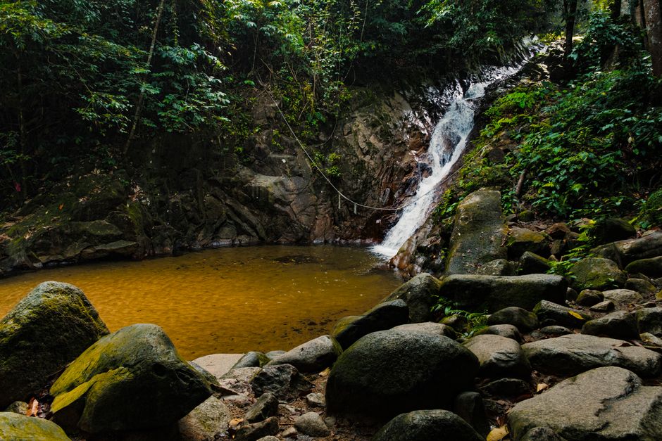 Raleighvallen Nature Reserve, Suriname - travel photo