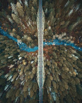 无人机从空中拍摄了森林景观，河上的桥展现了大自然的美丽