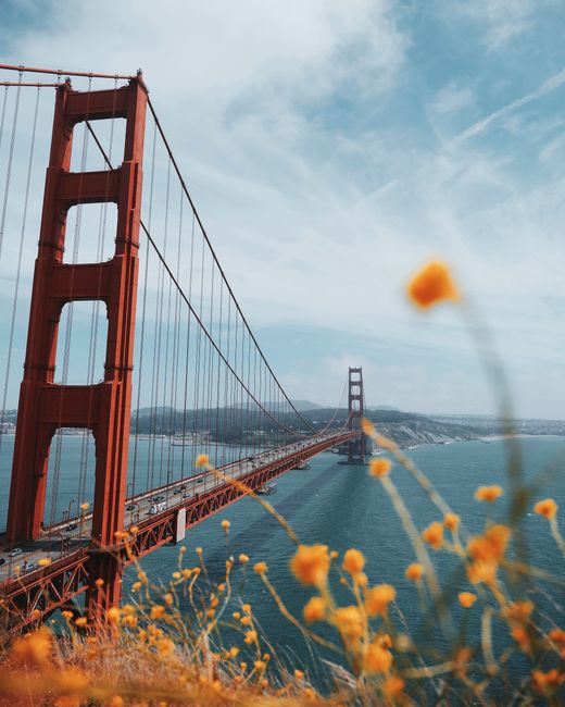Stunning view of the Golden Gate Bridge with blooming flowers under a bright sky.