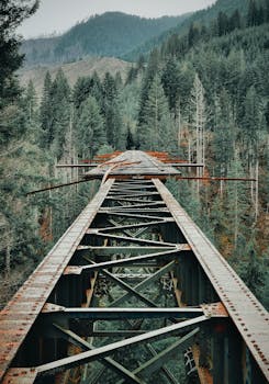 生锈的铁桥穿过茂密的森林，以山脉为背景，展现出腐朽与自然的交织
