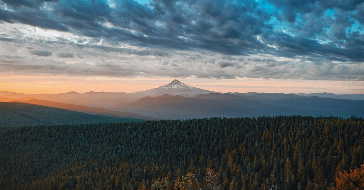 Stunning view of a snow-capped mountain at sunset with a vast pine forest in the foreground under dramatic skies.